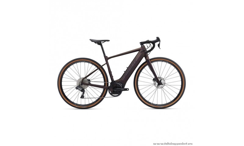 Alquiler Giant Revolt E +Pro